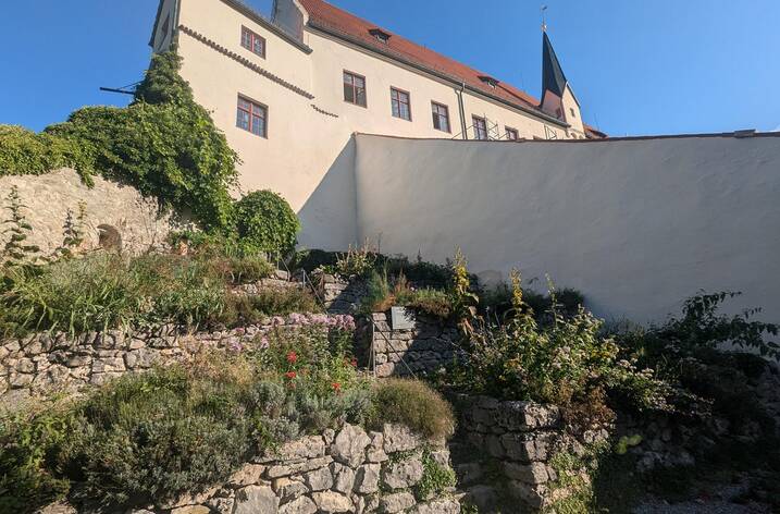 Terrassengarten Hohes Schloss